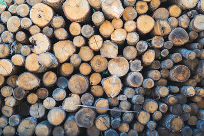 Full-frame shot of logs