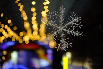 Close-up of illuminated at night