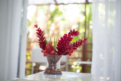 Close-up of flowers in vase