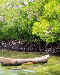 Scenic view of lake in forest