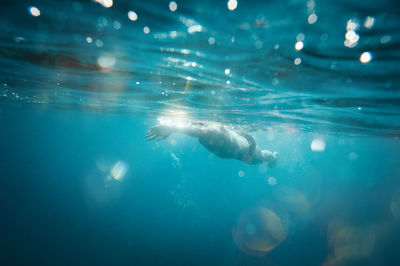 Close-up of swimming in sea