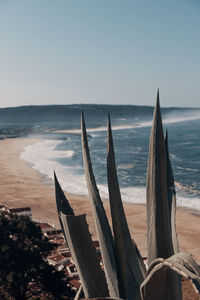 Scenic view of sea against clear sky