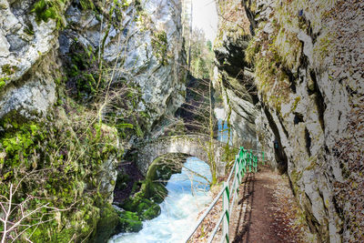 Scenic view of waterfall in forest