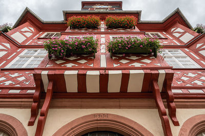 Low angle view of potted plants against building