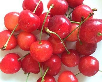Close-up of cherries in water