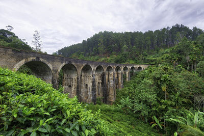 Arch bridge by trees against sky