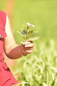 Close-up of hand holding flower bouquet