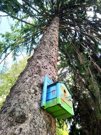 Low angle view of birdhouse on tree trunk