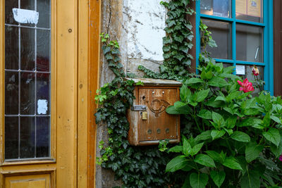 Closed door of building