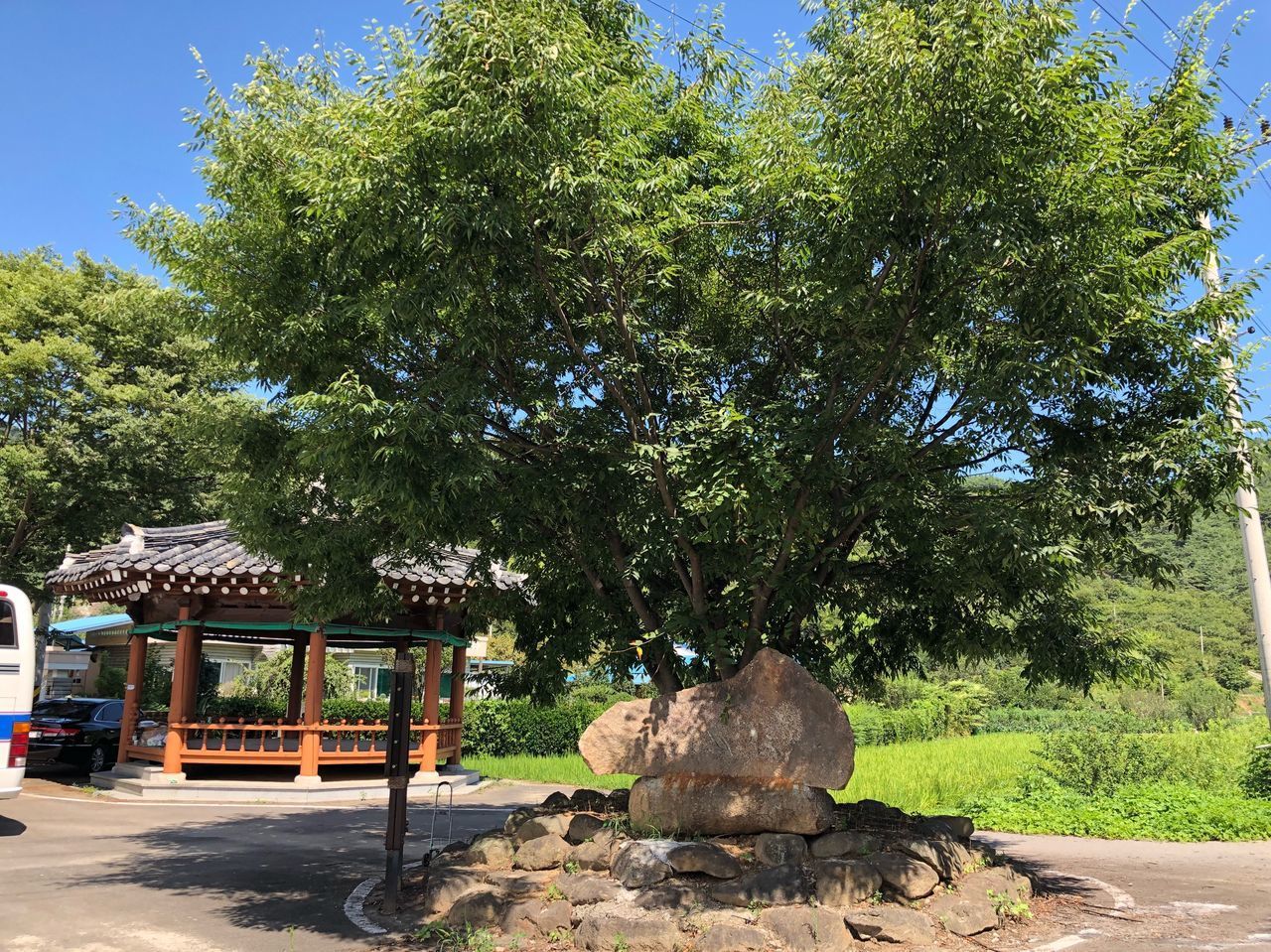 VIEW OF CROSS AGAINST TREES ON SUNNY DAY