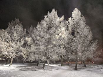 winter
