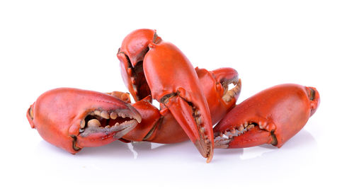 Close-up of red chili over white background