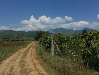 Dirt road along landscape and against sky