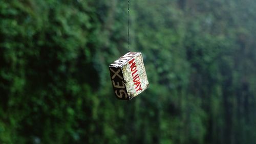 Close-up of information sign hanging on tree