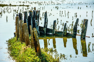 Wooden posts in lake