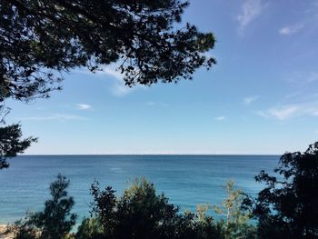 Scenic view of sea against blue sky
