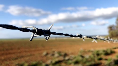 Barbed wire on field against sky