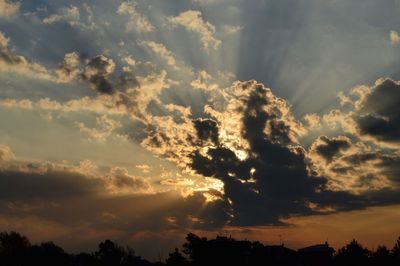 Silhouette of trees against cloudy sky