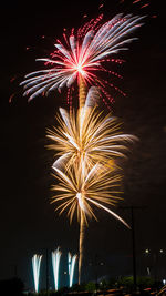 Low angle view of firework display at night