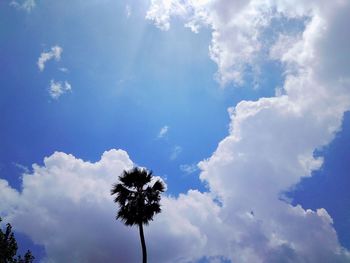 Low angle view of silhouette trees against blue sky