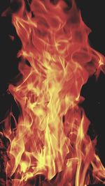Close-up of bonfire