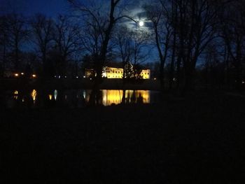 Illuminated bare trees against sky at night