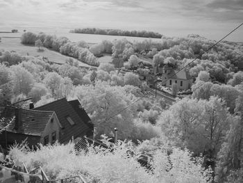 High angle view of houses and trees on field