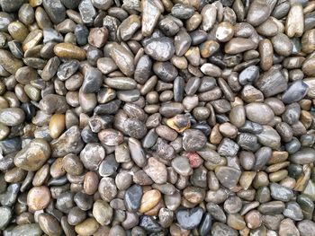 Full frame shot of coffee beans