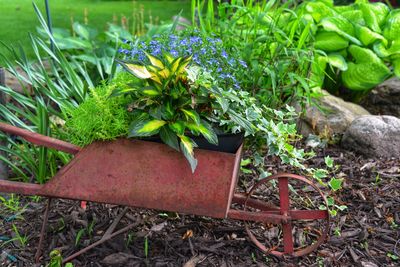 High angle view of potted plants in garden