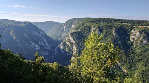 Scenic view of tree mountains against sky