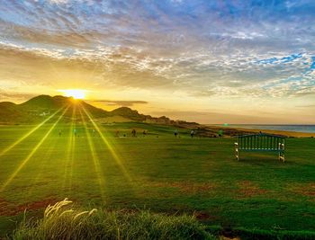 Scenic view of grassy field against sky during sunset