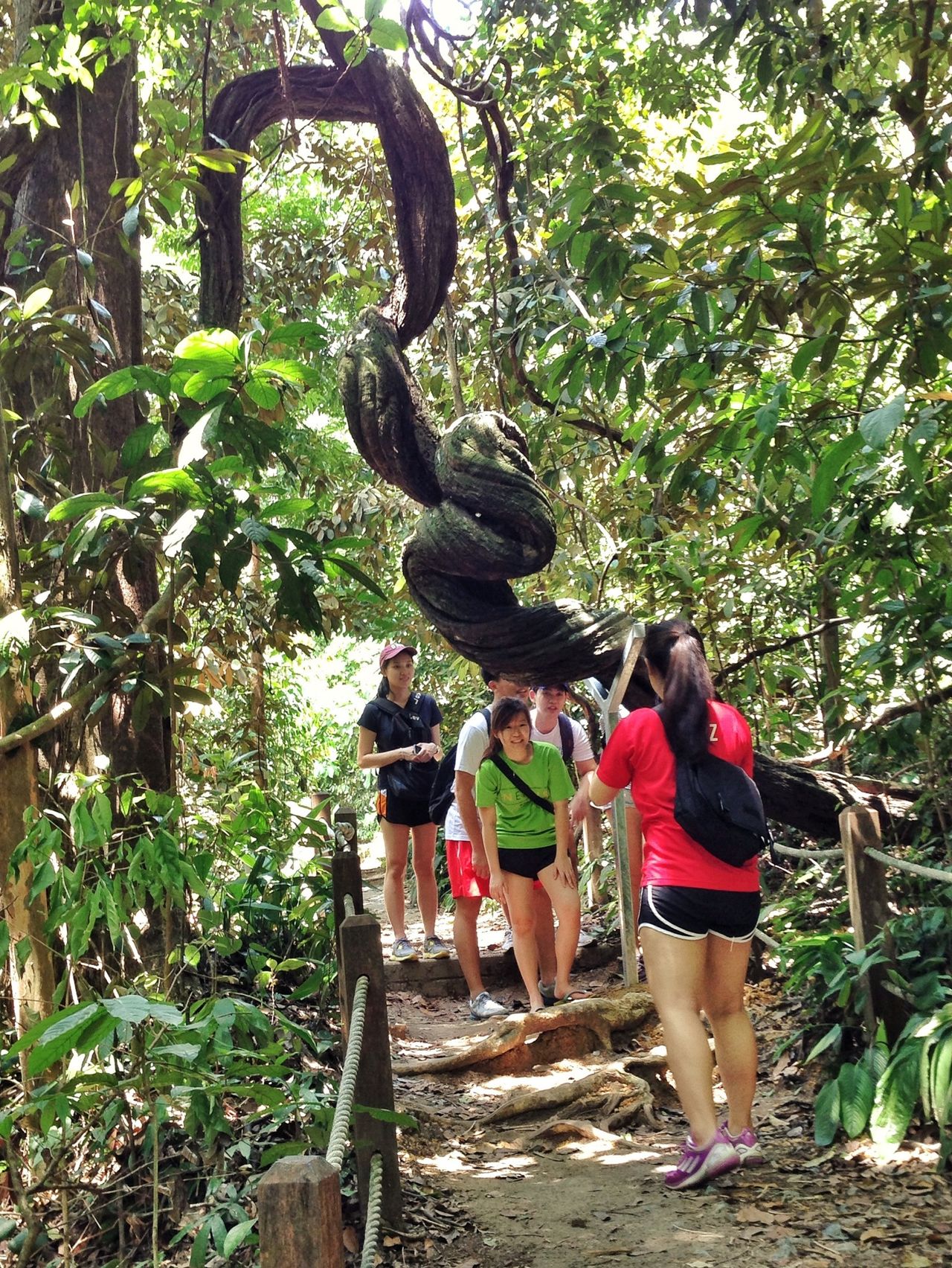 Bukit Timah Hill