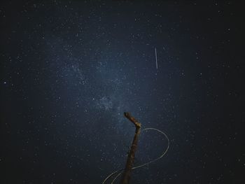 Low angle view of star field against sky at night