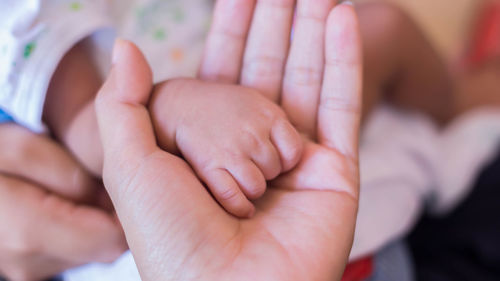 Close-up of baby hands