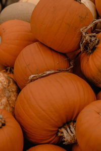 Full frame shot of pumpkins