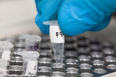 Scientist working at the laboratory with a thermal cycler. polymerase chain reaction technique. 