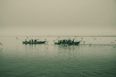 People and birds in sea against sky