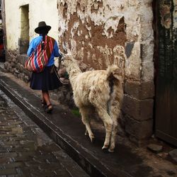 Rear view of man standing against wall