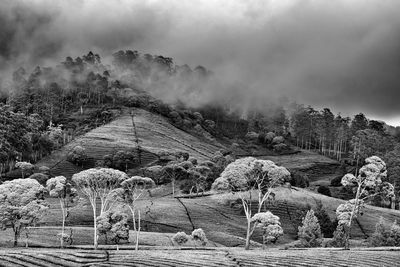 Panoramic view of landscape against sky