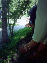 Low section of woman standing on tree trunk