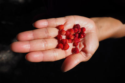 Close-up of hand holding strawberries