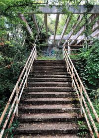 Low angle view of staircase in forest