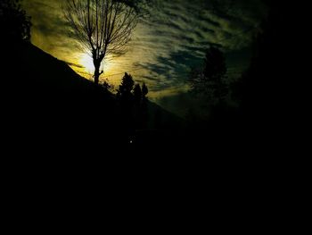 Silhouette trees on landscape against sky at night