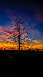 Silhouette tree against sky during sunset