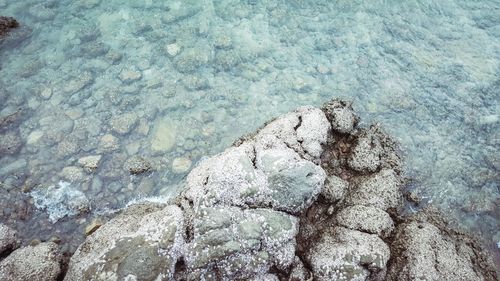 Full frame shot of rock in sea