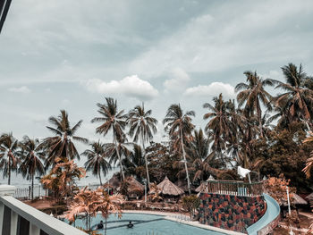 Palm trees by swimming pool against sky