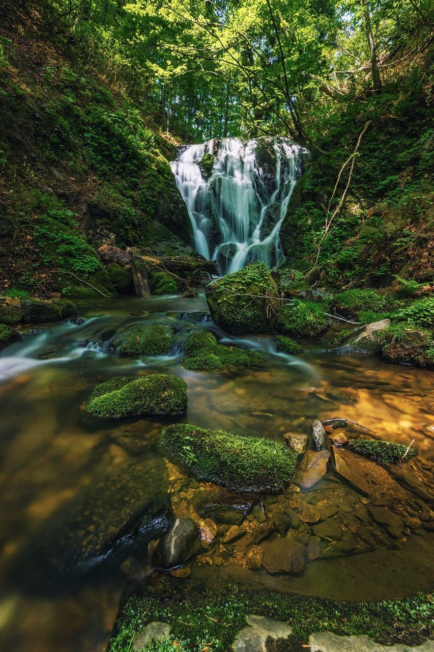 water, flowing water, waterfall, flowing, motion, rock - object, nature, beauty in nature, long exposure, plant, forest, tree, green color, tranquility, growth, scenics, stream, splashing, day, falling