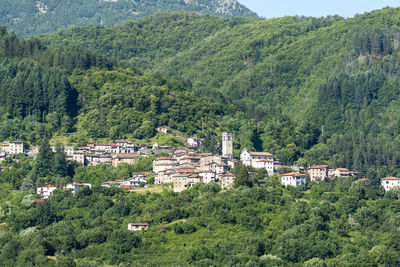 High angle view of townscape and trees