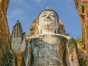 Low angle view of cat