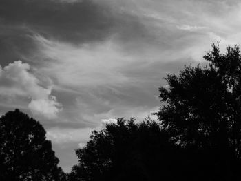 Low angle view of silhouette trees against sky